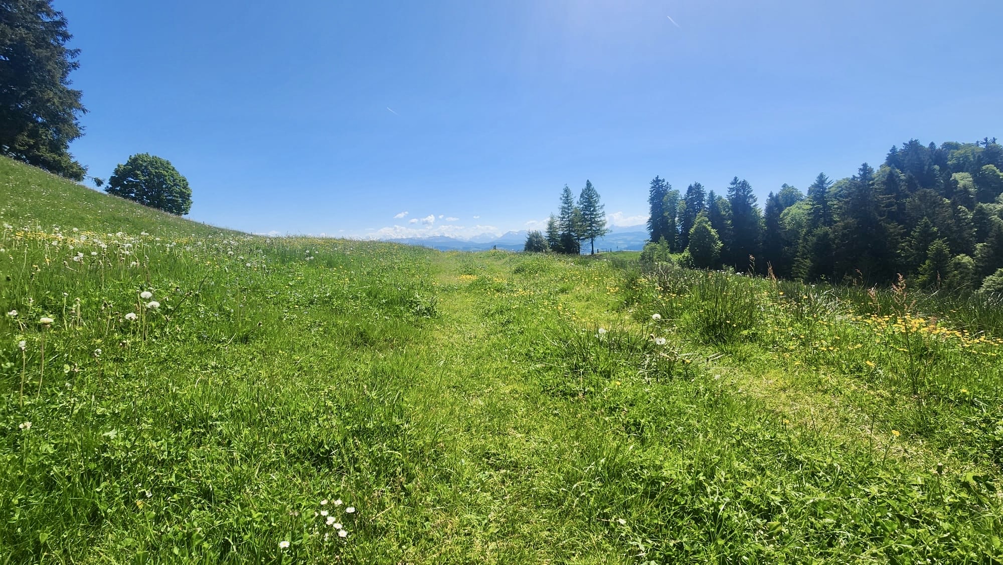 Wanderweg