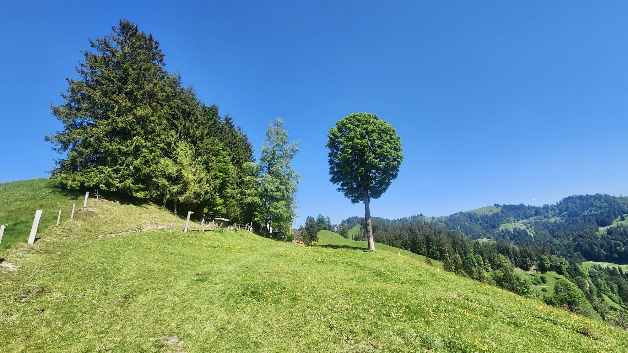 Wanderweg 2