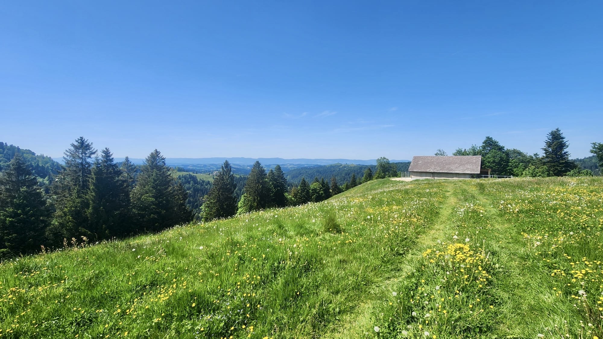 Wanderweg 4